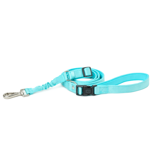 DOGISTRY 3-in-1 City Dog Leash - Fifth Avenue