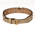 Load image into Gallery viewer, Leather Dog Collar in Mud - Swarovski, Made in Italy

