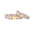 Load image into Gallery viewer, Isabella Dog Collar
