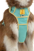 Load image into Gallery viewer, Island Vibes Ultimate Dog Harness - Southlake Paws
