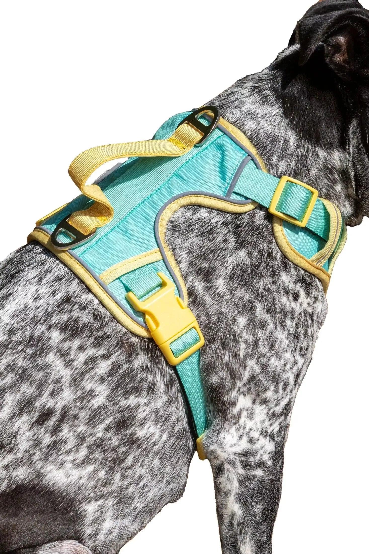 Island Vibes Ultimate Dog Harness - Southlake Paws