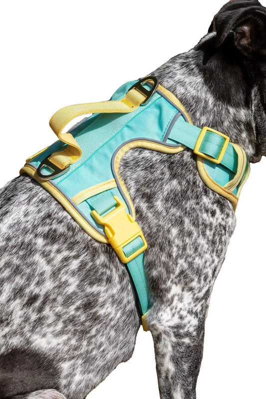 Island Vibes Ultimate Dog Harness - Southlake Paws