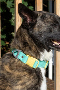 Load image into Gallery viewer, Island Vibes Waterproof Dog Collar - Southlake Paws
