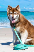 Load image into Gallery viewer, Island Vibes Waterproof Dog Leash - Southlake Paws
