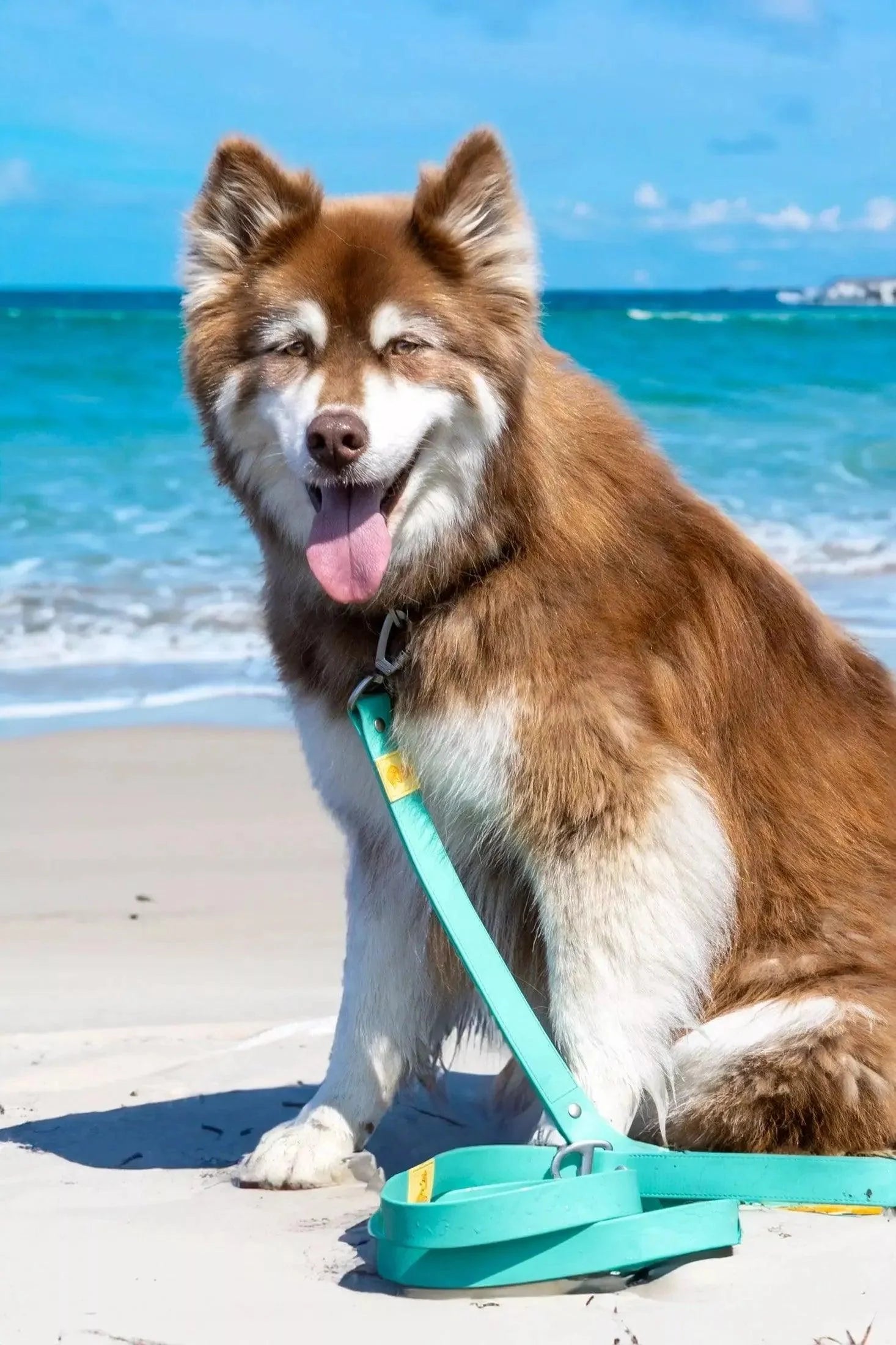 Island Vibes Waterproof Dog Leash - Southlake Paws