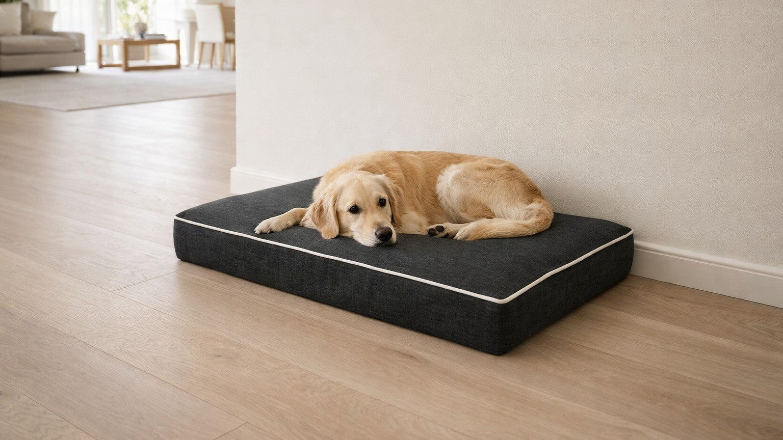 Isotonic Memory Foam Mattress