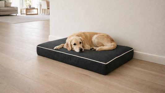 Bowsers Isotonic Memory Foam Dog Crate Mattress - Pressure-Relieving Crate Support