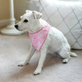 Load image into Gallery viewer, It's My Barkday Bandana
