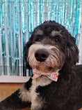 Load image into Gallery viewer, It's My Birthday Dog Bow Tie
