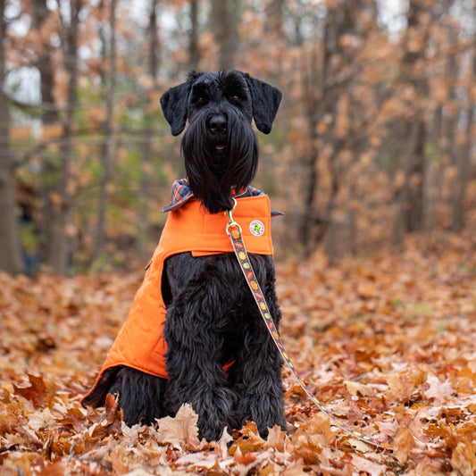 Orange Field Coat