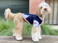 Load image into Gallery viewer, Parisian Pet 'Team USA' Dog & Cat Shirt – Embroidered USA Jersey, Perfect for Sports and Vacations – Red, White, and Blue
