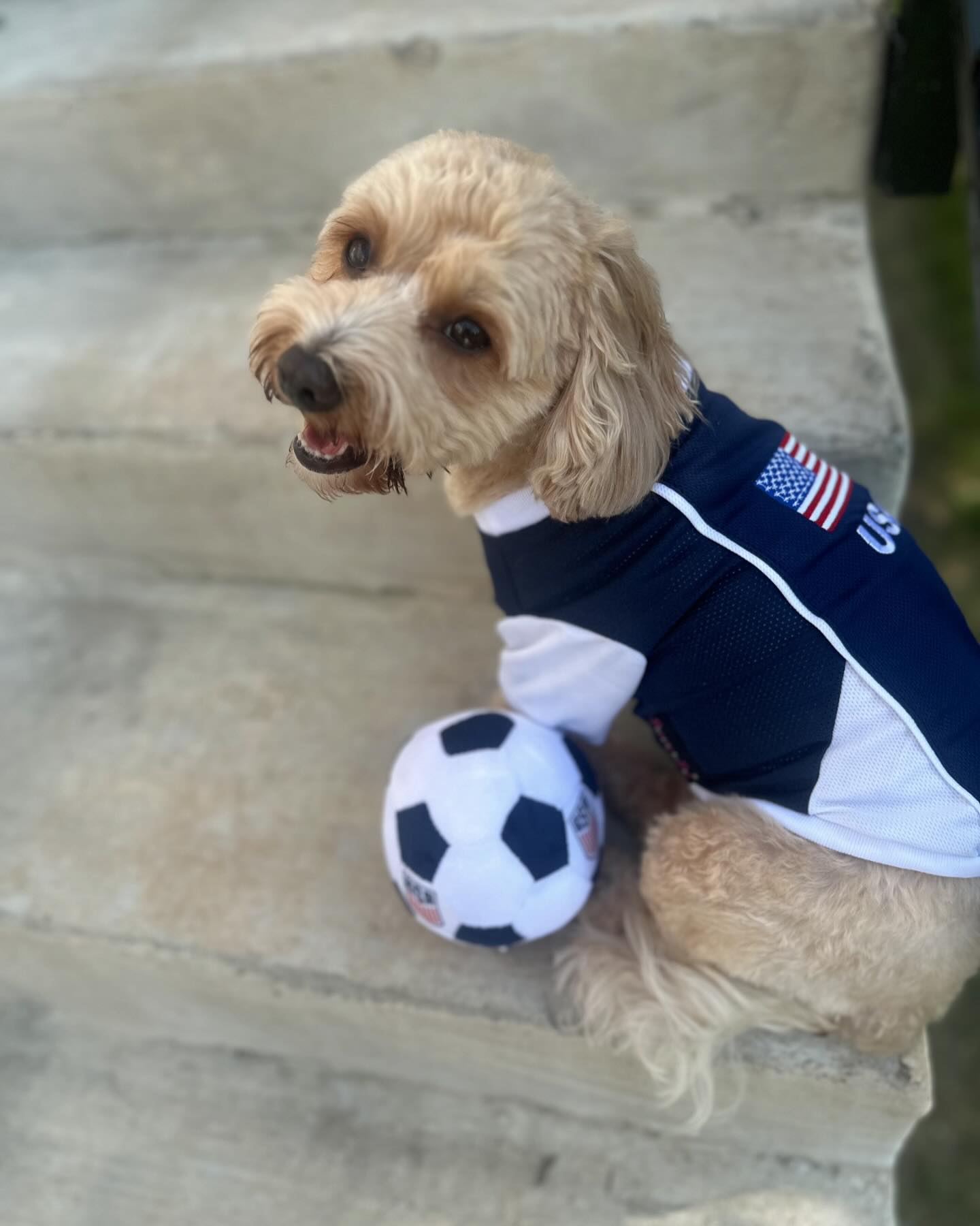 Parisian Pet 'Team USA' Dog & Cat Shirt – Embroidered USA Jersey, Perfect for Sports and Vacations – Red, White, and Blue
