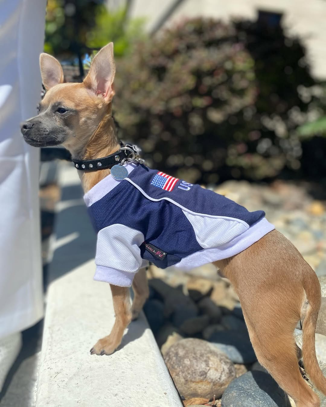 Parisian Pet 'Team USA' Dog & Cat Shirt – Embroidered USA Jersey, Perfect for Sports and Vacations – Red, White, and Blue