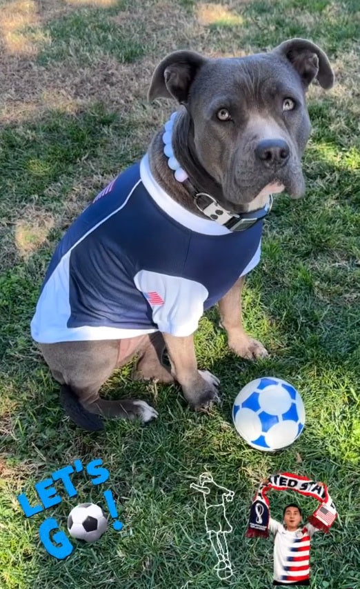 Parisian Pet 'Team USA' Dog & Cat Shirt – Embroidered USA Jersey, Perfect for Sports and Vacations – Red, White, and Blue