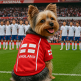 Load image into Gallery viewer, Parisian Pet 'Team England' Jersey for Dogs & Cats – England Flag-Inspired Pet Outfit, Soccer Fan Apparel for Dogs & Cats, White and Red
