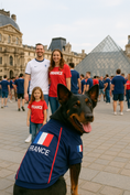 Load image into Gallery viewer, Parisian Pet 'Team France' Jersey - France National Team Pet Apparel, Dog Sports Jersey for Soccer Fans, World Cup Dog Shirt for Dogs & Cats, Blue
