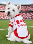 Load image into Gallery viewer, Parisian Pet 'Team Canada' Jersey for Dogs & Cats – Canada Flag-Inspired Pet Outfit, Soccer Fan Apparel for Dogs & Cats, Red and White Design
