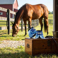 Load image into Gallery viewer, Jeffers Expression No-Turn Bell Boots for Horses, Pair
