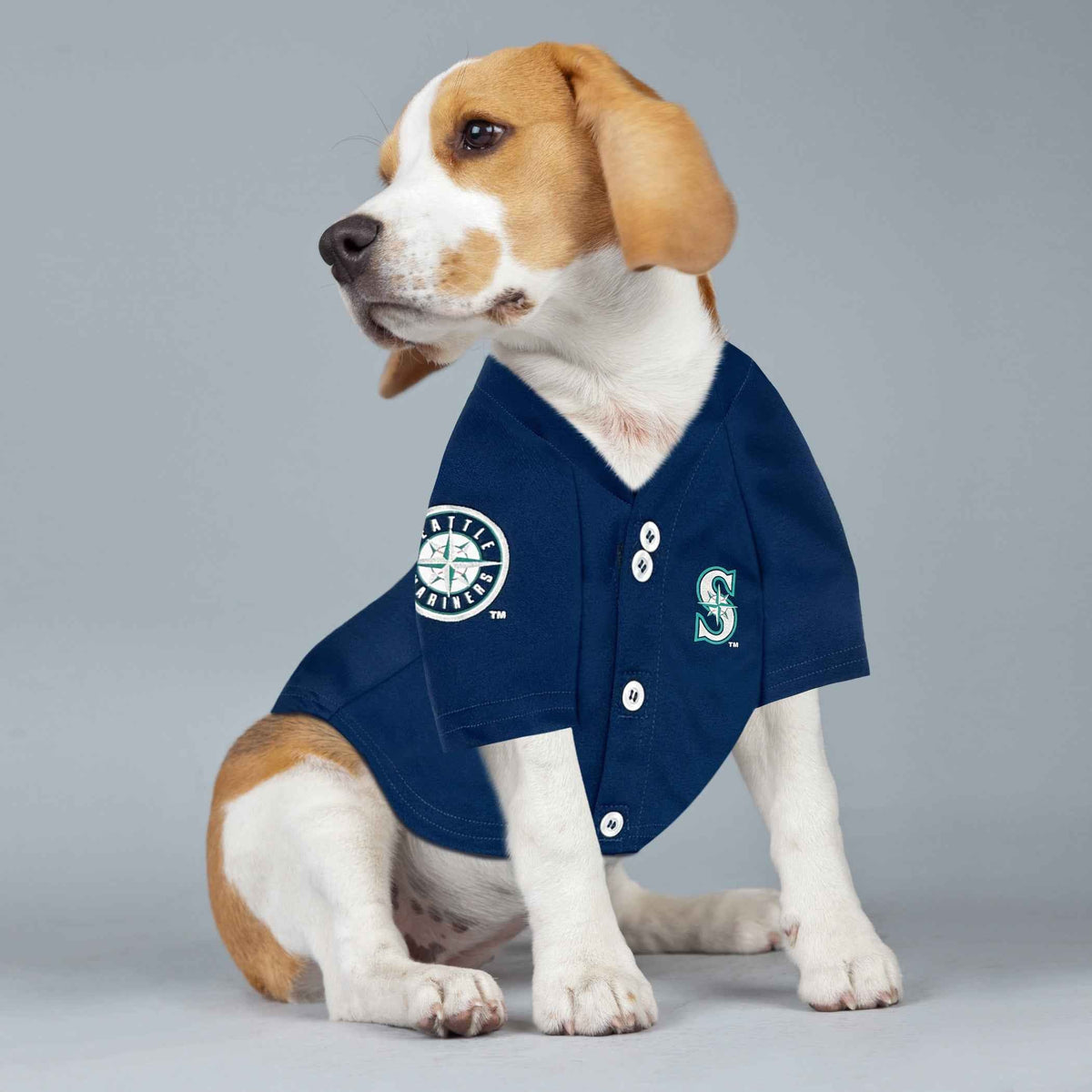 MLB Seattle Mariners Julio Rodriguez Mesh Dog Jersey