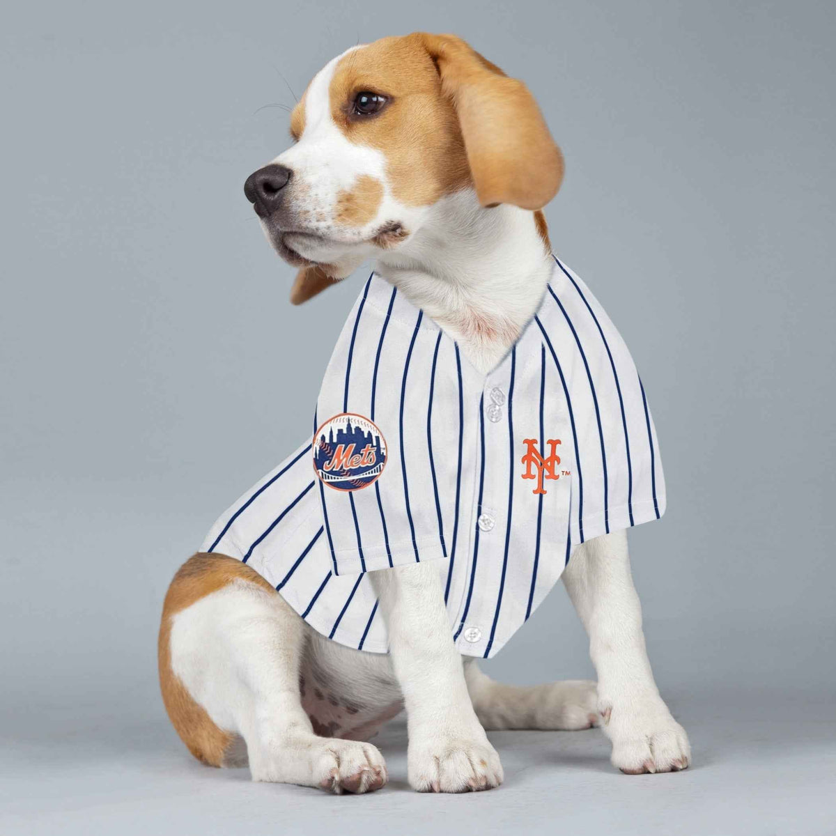MLB New York Mets Juan Soto Mesh Dog Jersey