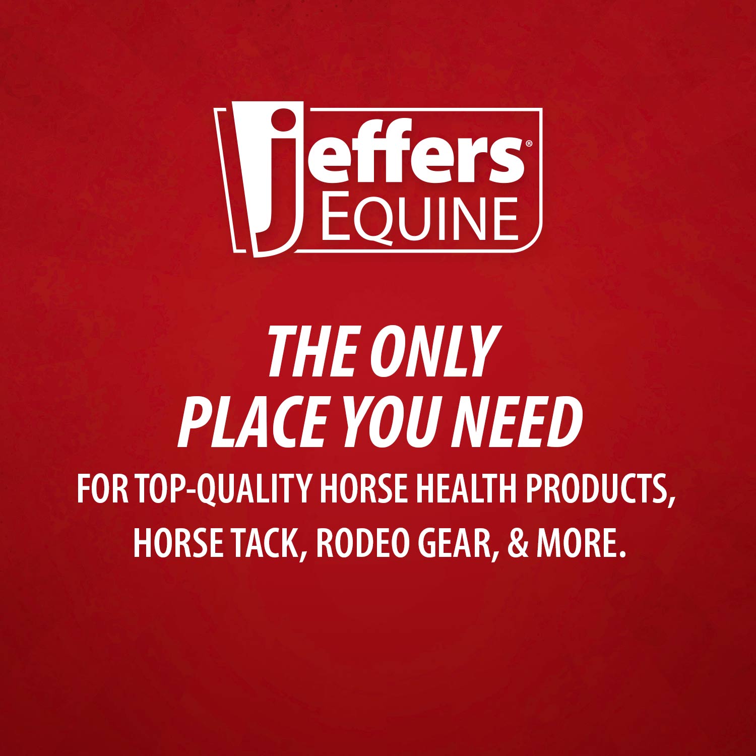 Jeffers Expression No-Turn Bell Boots for Horses, Pair