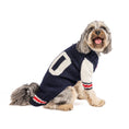 Load image into Gallery viewer, Varsity Dog Sweater

