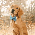 Load image into Gallery viewer, Jolie Dog Bow Tie
