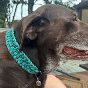 Josephine Braid Handmade Dog Collar - Customize Your Colors