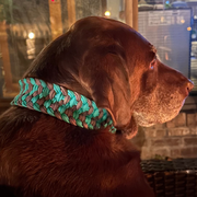 Josephine Braid Handmade Dog Collar - Customize Your Colors