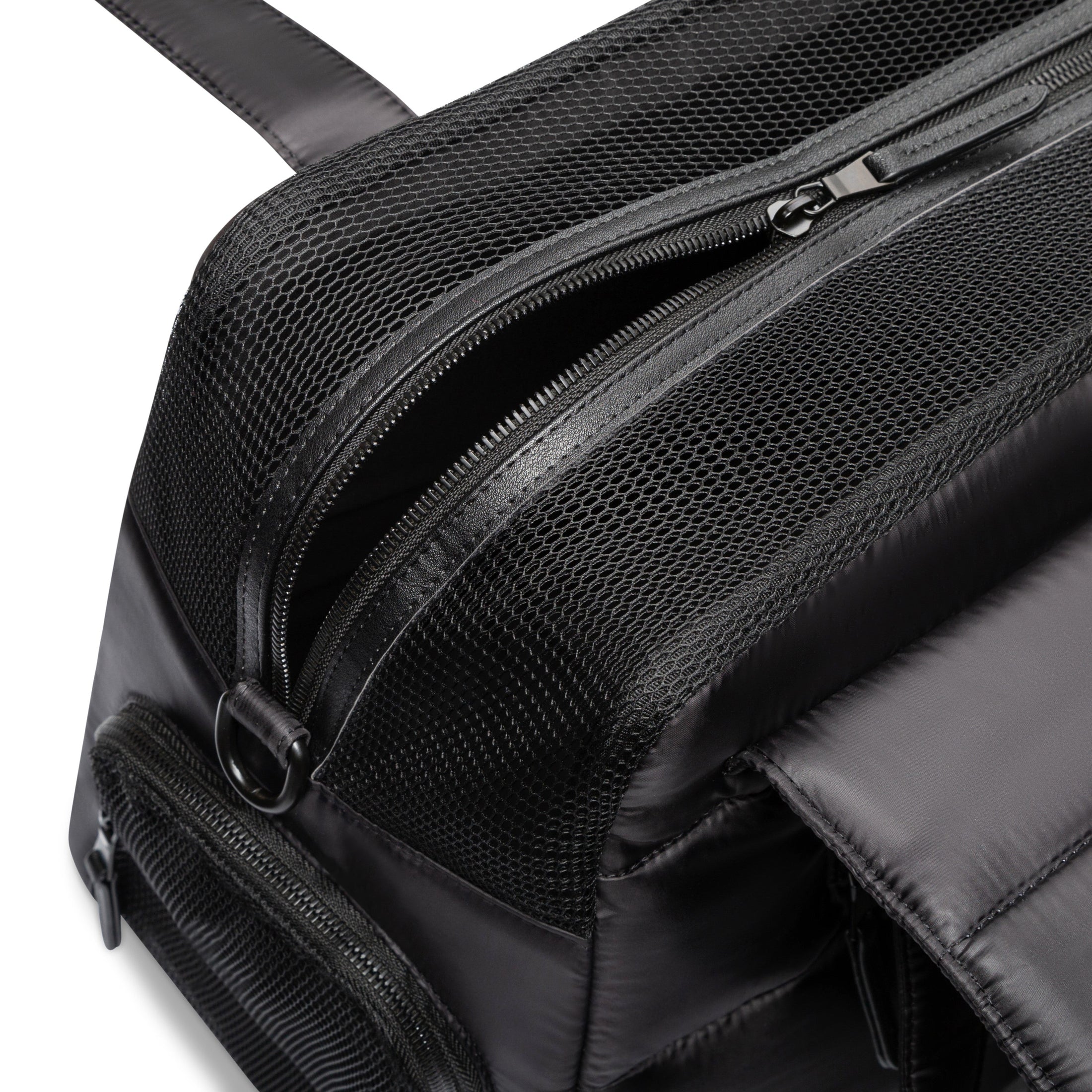Destination Dog Tote - Ltd Edition. - Southlake Paws