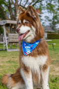 Load image into Gallery viewer, K9 Kayak Dog Bandana & Matching Keychain - Southlake Paws
