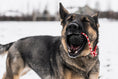 Load image into Gallery viewer, USA-K9 Magnum Black Stars and Stripes Ultra-Durable  Rubber Chew Toy, Reward Toy, Tug Toy, and Retrieving Toy - Black
