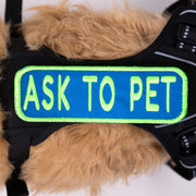 Ask to Pet 2x6 Patch 