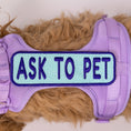 Load image into Gallery viewer, Ask to Pet 2x6 Patch

