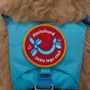 Dachshund Little Legs Club Patch 