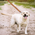 Load image into Gallery viewer, Kansas City Chiefs Zubaz Leash
