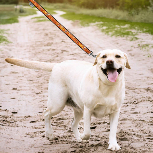 Kansas City Chiefs Zubaz Leash