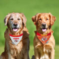 Load image into Gallery viewer, Kansas City Chiefs Zubaz Reversible Dog Bandana
