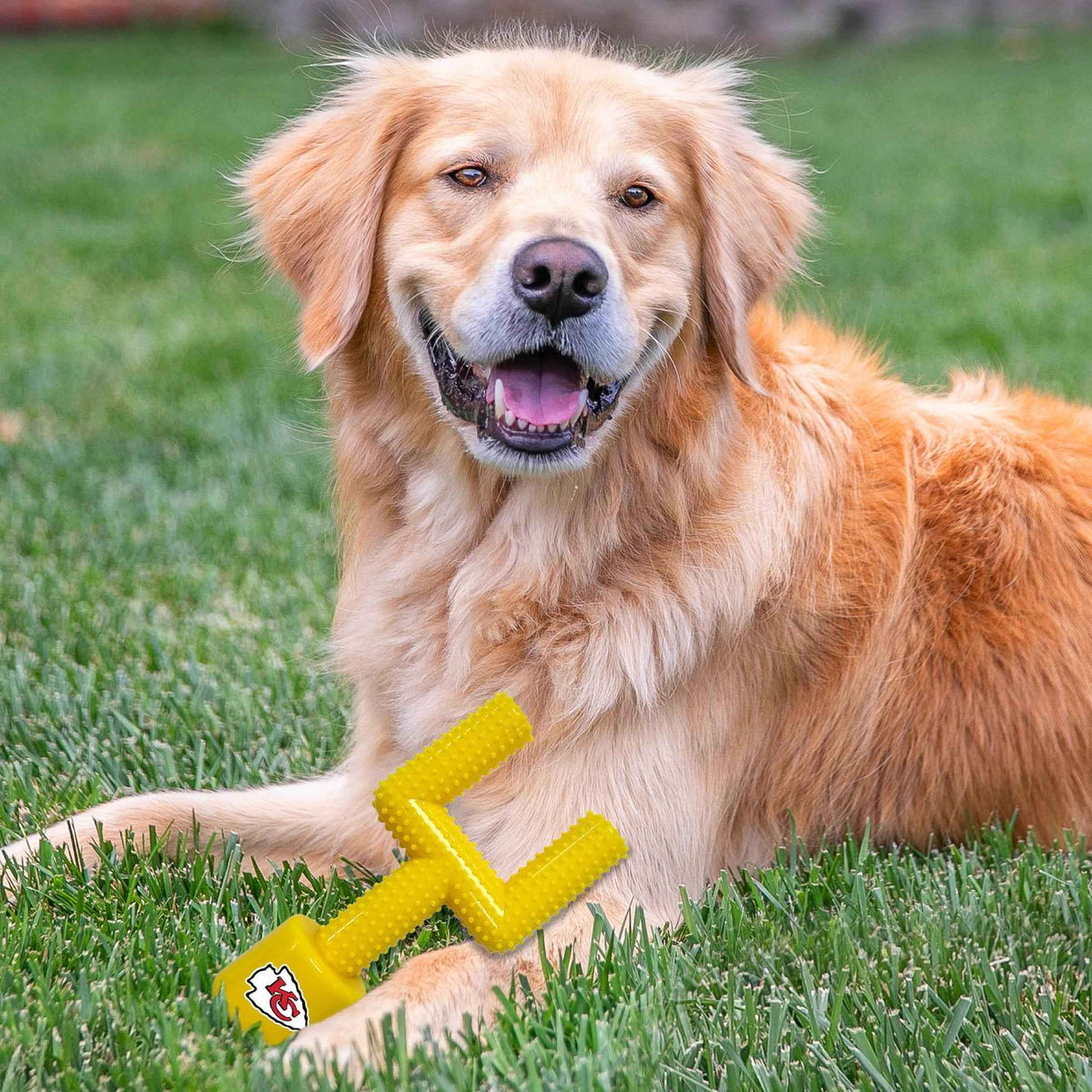 Kansas City Chiefs Hard Nylon Goal Post Chew Toy