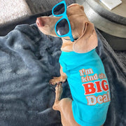 Parisian Pet 'I'm Kind of a Big Deal' Humorous Dog Shirt – Embroidered Graphic Pet T-Shirt for Dogs & Cats, Light Blue
