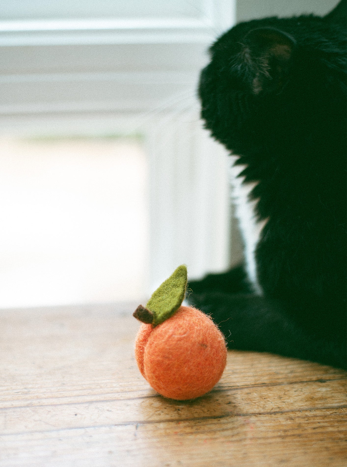 DOGGY PEACH - Southlake Paws