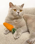Load image into Gallery viewer, KITTY CARROT - Southlake Paws
