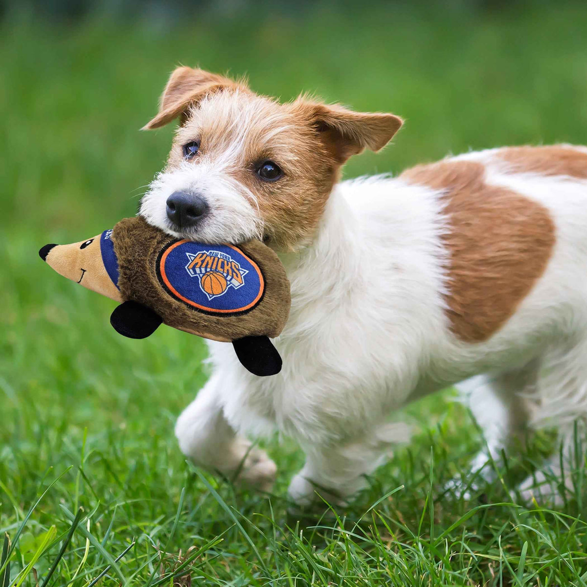 New York Knicks Plush Hedgehog Toy