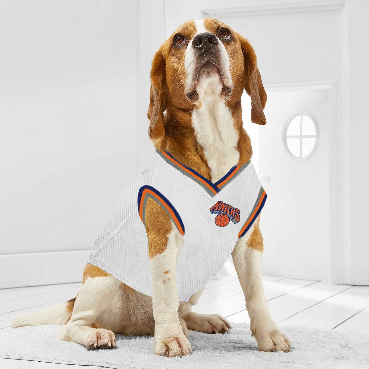 NBA New York Knicks Road Basketball Dog Jersey