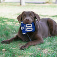 Load image into Gallery viewer, Kentucky Jersey Tough Toy
