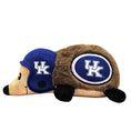 Load image into Gallery viewer, Kentucky Plush Hedgehog Toy
