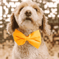 Load image into Gallery viewer, Keaton Dog Bow Tie
