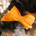 Load image into Gallery viewer, Keaton Dog Babe Bow
