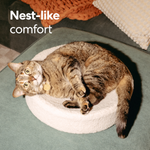 Kip Cat Cushion 