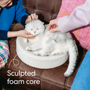 Kip Cat Cushion 
